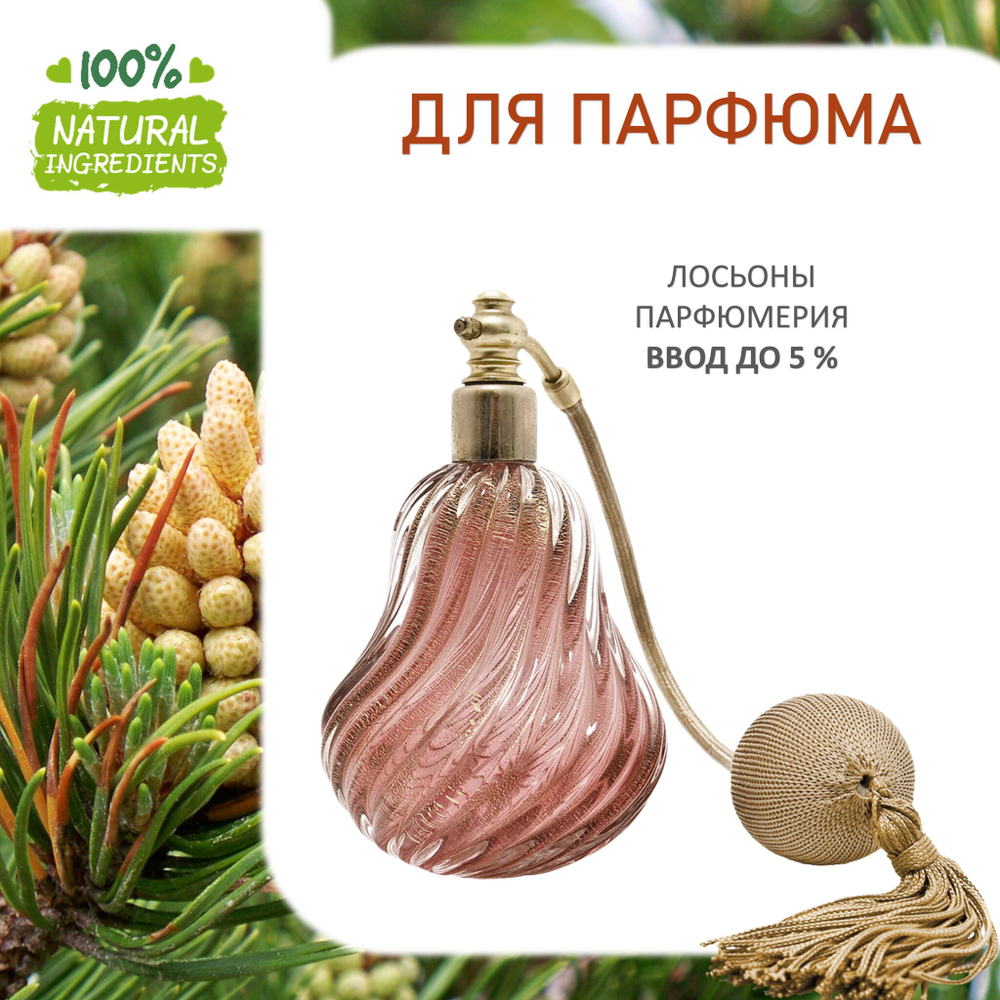 Сосна, отдушка для свечей и мыла