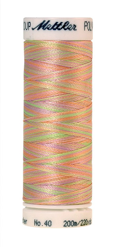Нить вышивальная Mettler Poly Sheen Multi 40 (200 м), 5 кат. | цв. 9935