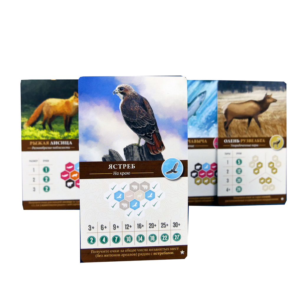 Набор промокарт для настольной игры «Каскадия»-16209-crowdgames.ru-5