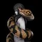 Young Orochimaru - Naruto
