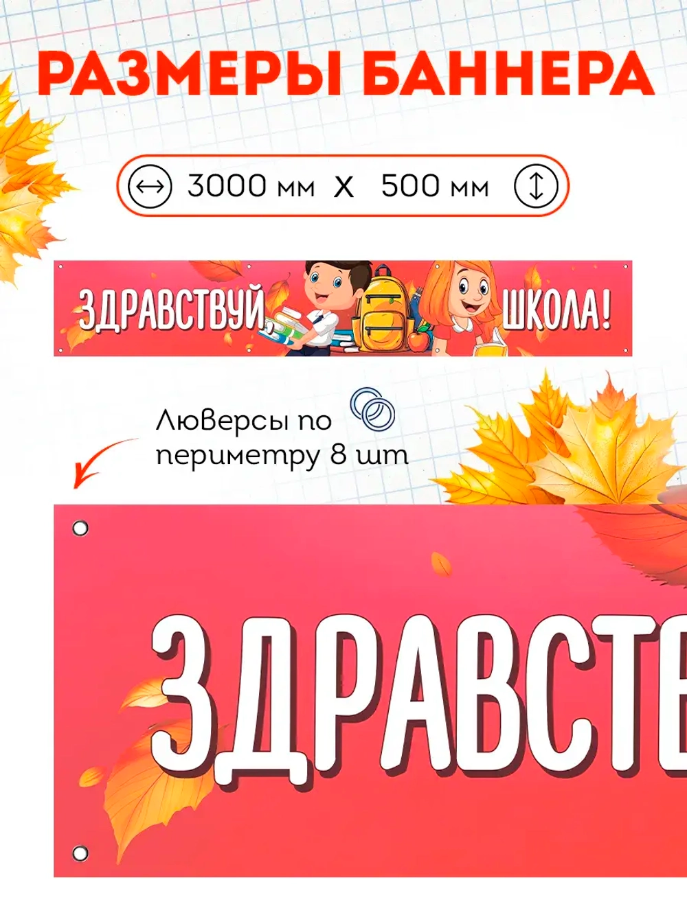 Баннер на 1 сентября "Здравствуй школа"