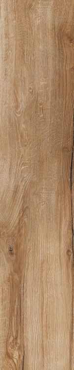 Rondine Daring Nut 24x120