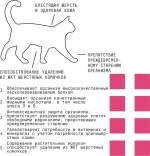 AJO (Айо) Cat Skin & Hair Сухой полнорационный корм для кошек здоровая кожа и красивая шерсть, 1,5 кг