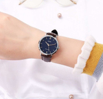 Часы Casio LTP-VT01L-2B