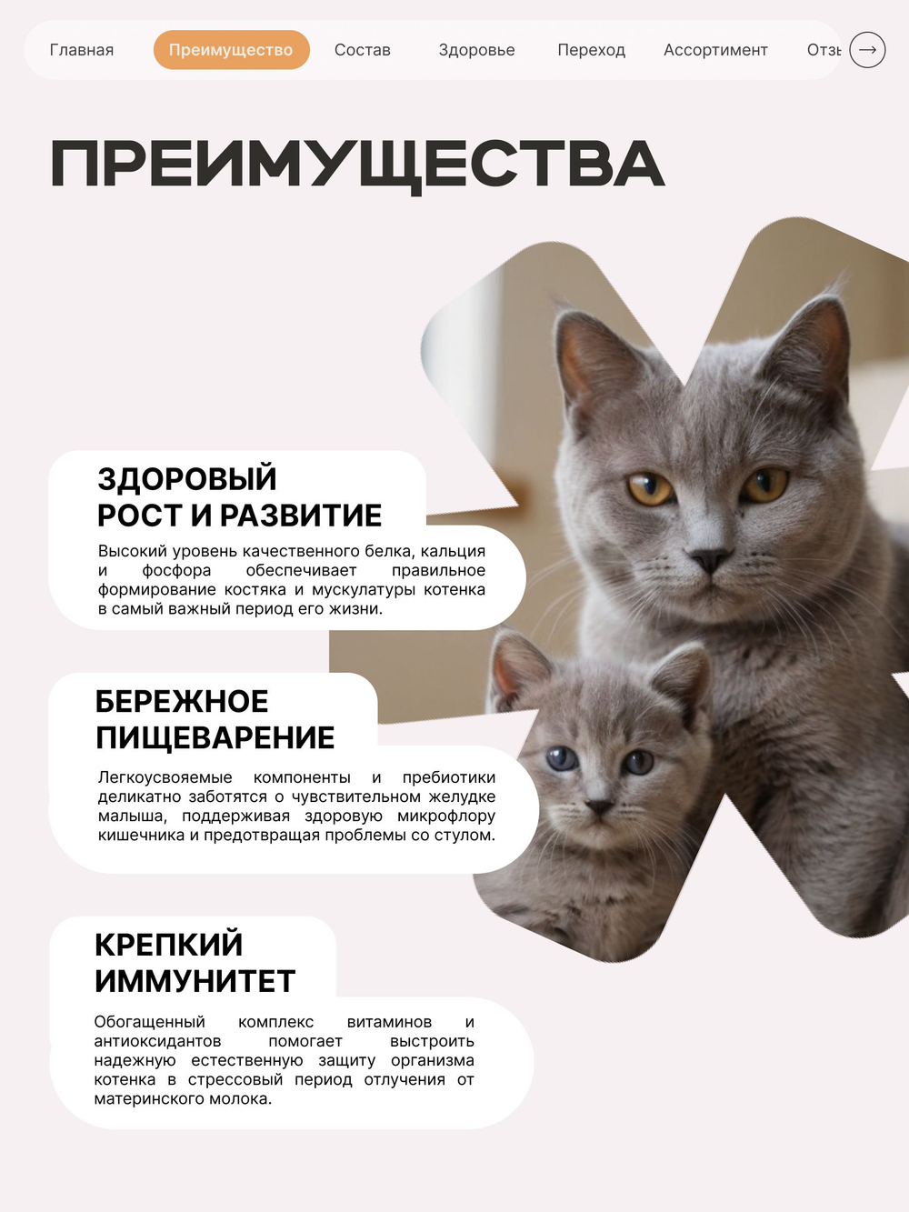 Корм сухой для котят породы Бенгальская, с индейкой, 2кг, QUATTRO