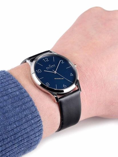 Наручные часы Skagen SKW6151