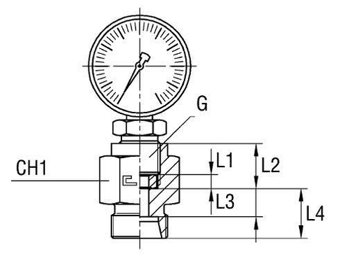 Штуцер DL10 BSP 1/4