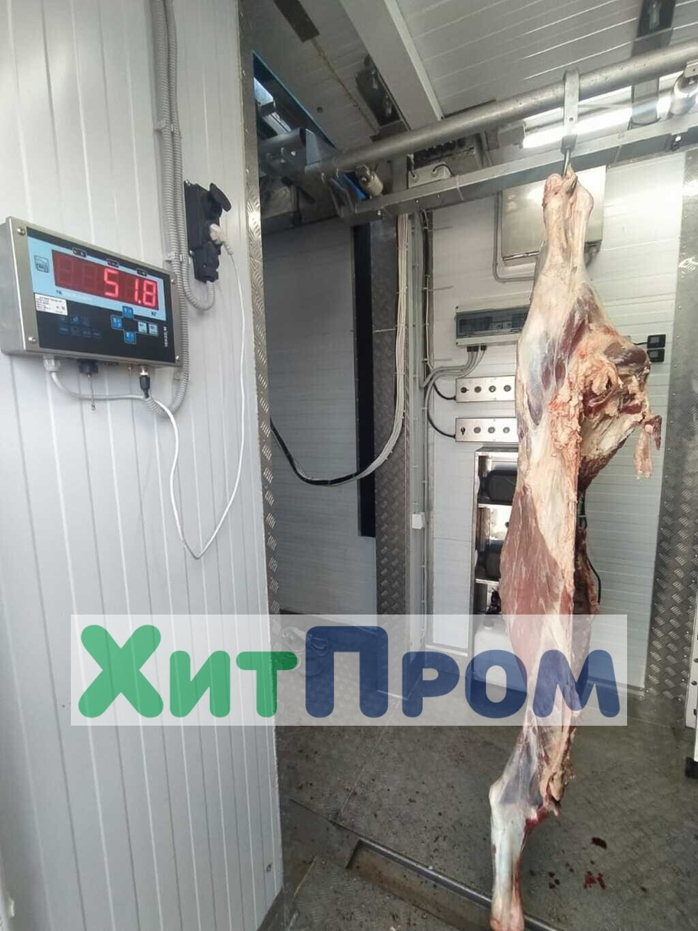 Передвижная линия убоя КРС до 10 голов/смена и МРС до 100 голов/смена. р.Тыва