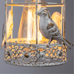 Настенный светильник Arte Lamp CINCIA A5090AP-1WG
