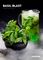 DarkSide BASE - Basil Blast (30г)