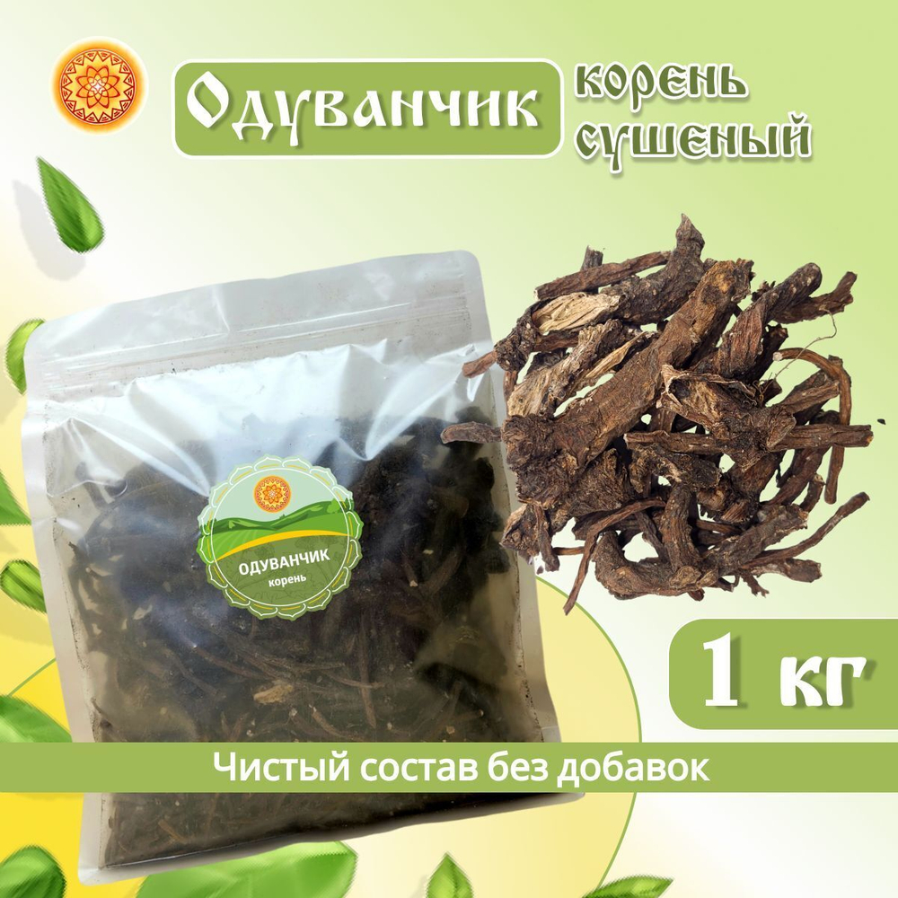Одуванчик (корень)