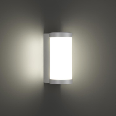 359299 STREET NT24 000 белый Светильник ландшафтный настенный IP65 LED 6W 4000K 180-265V OPAL