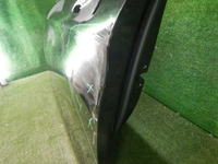 DSCN4398.jpg