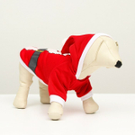 Толстовка Santa XS, ДС 16 см; ОГ 27 см
