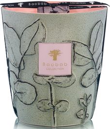 Maquis, свеча MAX 16 Folia collection, Baobab Collection