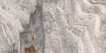 Террасные пластины Lifebrick Travertine Fantasia Silver 900x600x20