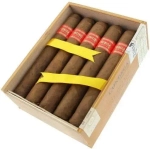 Condega Serie F Titan