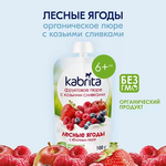 Пюре фруктовое Kabrita Лесные ягоды с яблочным пюре (6+) 100 г