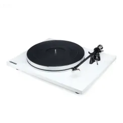 Auris Funky Alaskan White Oak