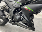 Kawasaki Z250 2013