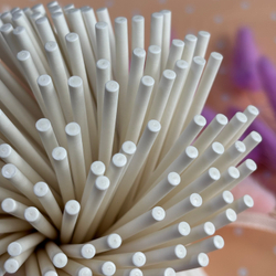 Палочки бумажные для Cake pops (белые, 15 см, 100 шт)