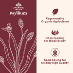 Organic India, Органическая клетчатка подорожника, 180 растительных капсул (0,52 г в капсуле)