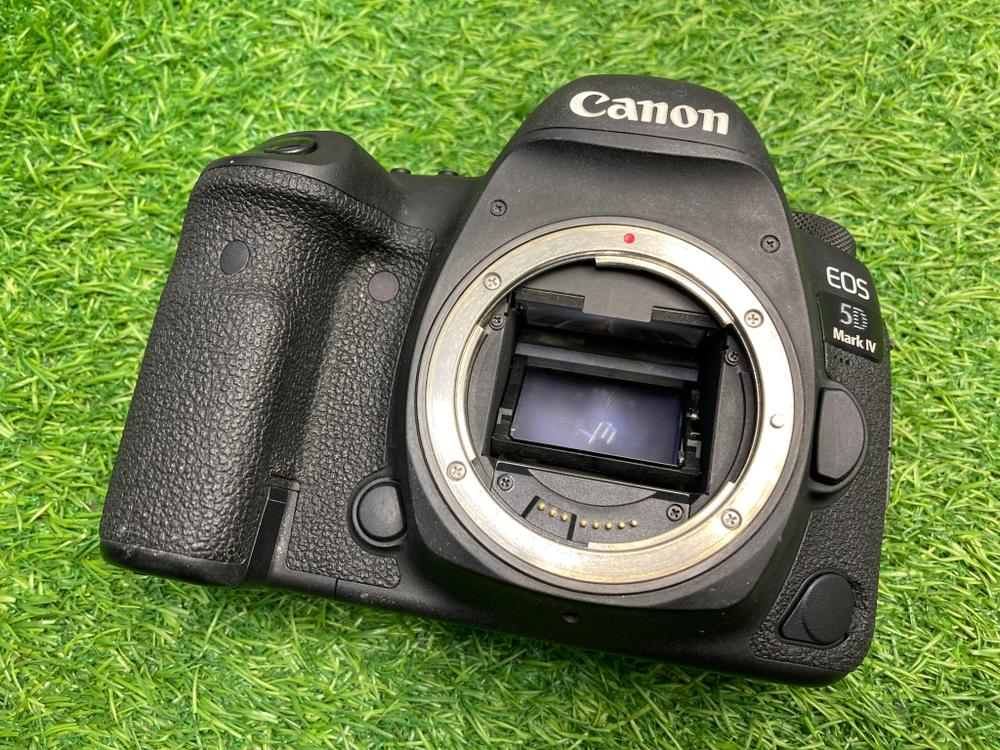 Canon 5D Mark IV 76000 кадров