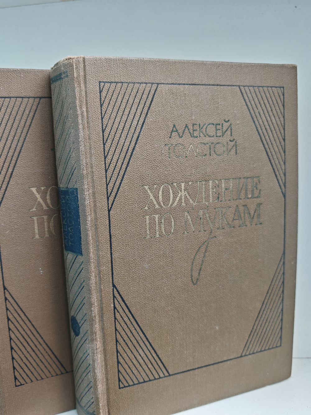 Хождение по мукам. Трилогия в 2 томах (комплект из 2 книг)