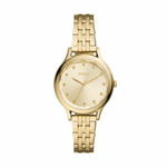 Женские наручные часы Fossil BQ3863