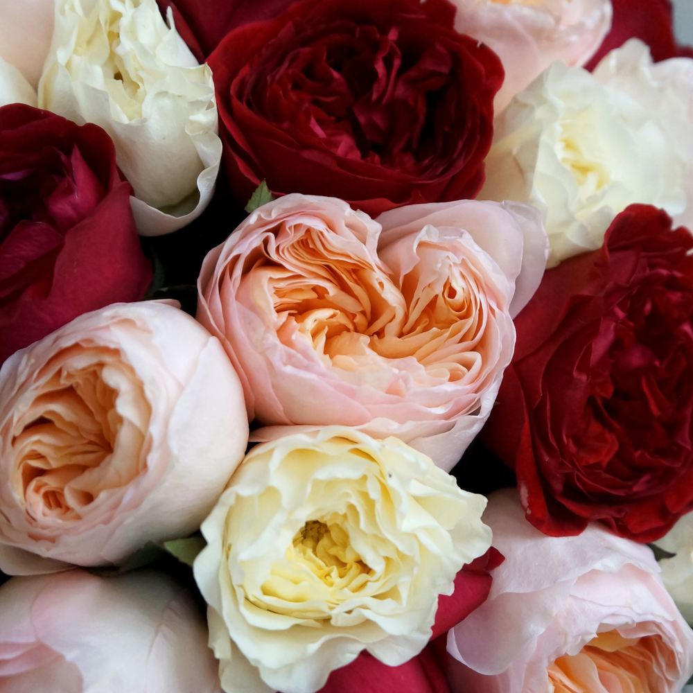 26. Яркий микс из роз David Austin