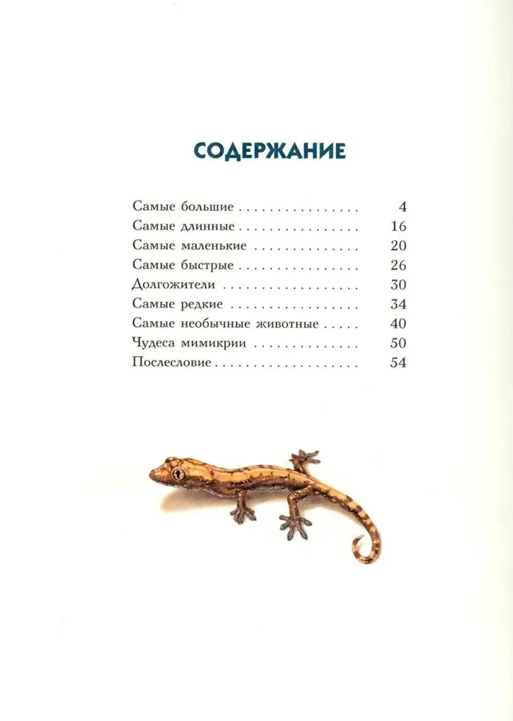 Самые-самые: Животные-рекордсмены