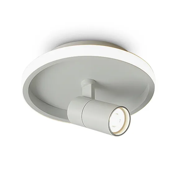 Потолочный светильник Neo FR6040CL-L14W Freya