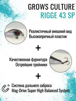 Воблер Минноу Rigge 43SP 43 мм 4 г цвет 40 Black Beetle