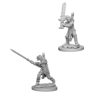 Female Human Barbarian / Женщины-варвары