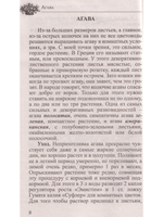 Любимые домашние цветы. Практические советы