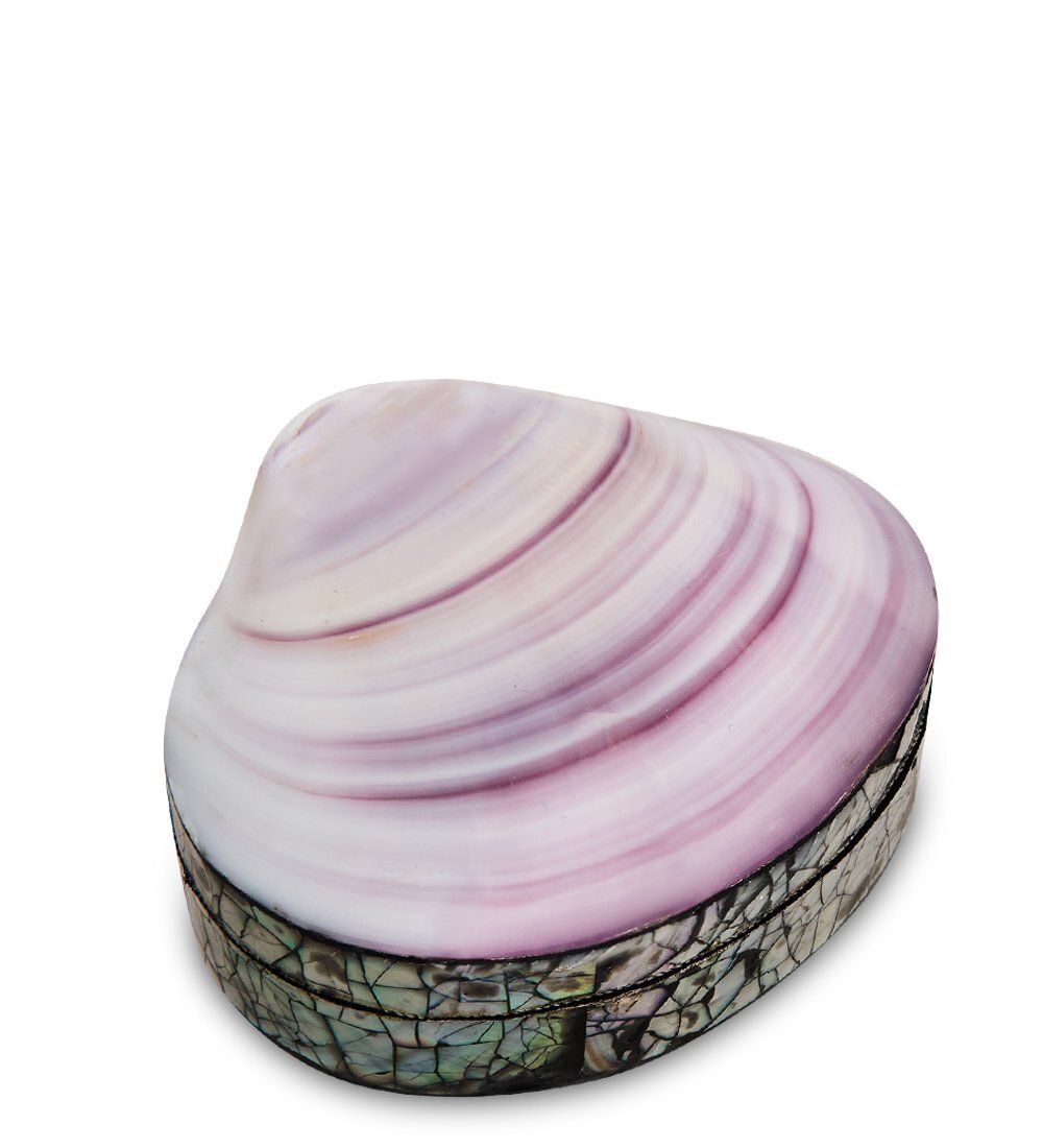 Decor and Gift 54-038 Декоративная шкатулка «Ракушка»