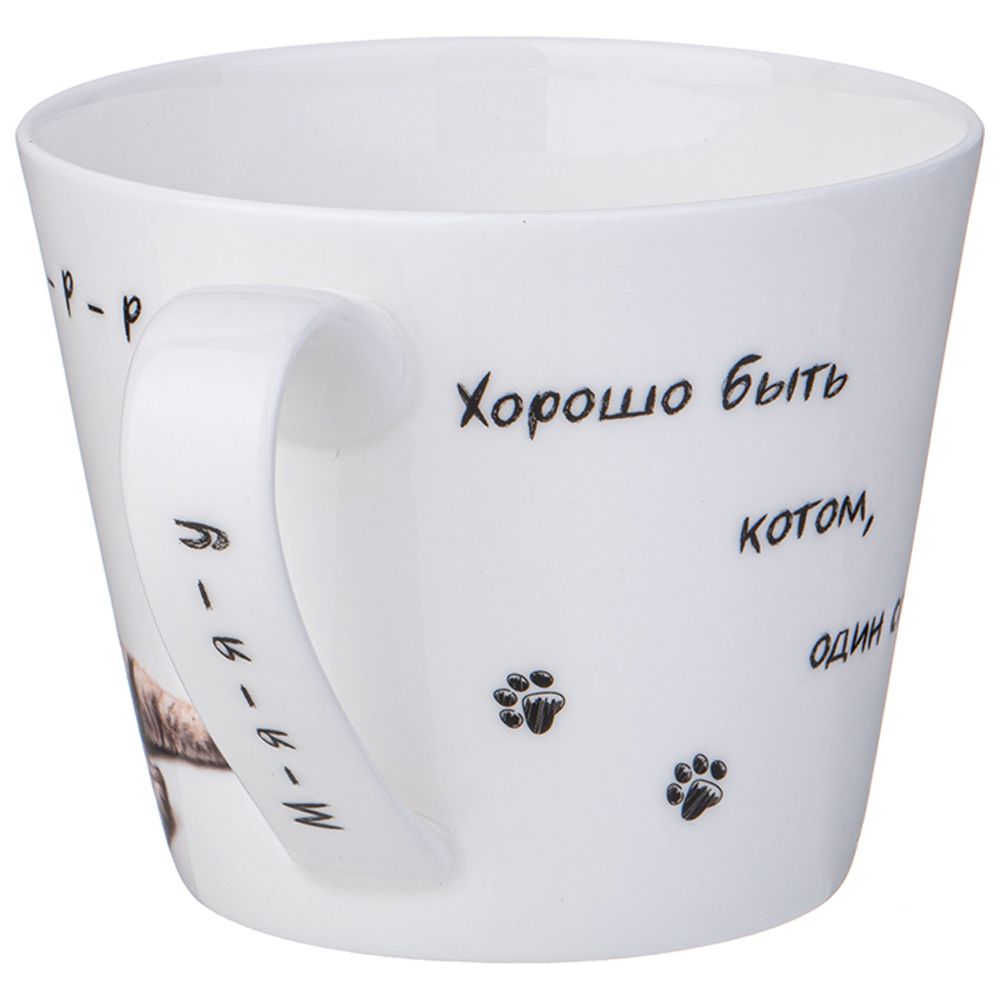 КРУЖКА LEFARD "БЕРИ КОТА" 450 МЛ, РАЗНОЦВЕТНЫЙ (КОР=48ШТ.)