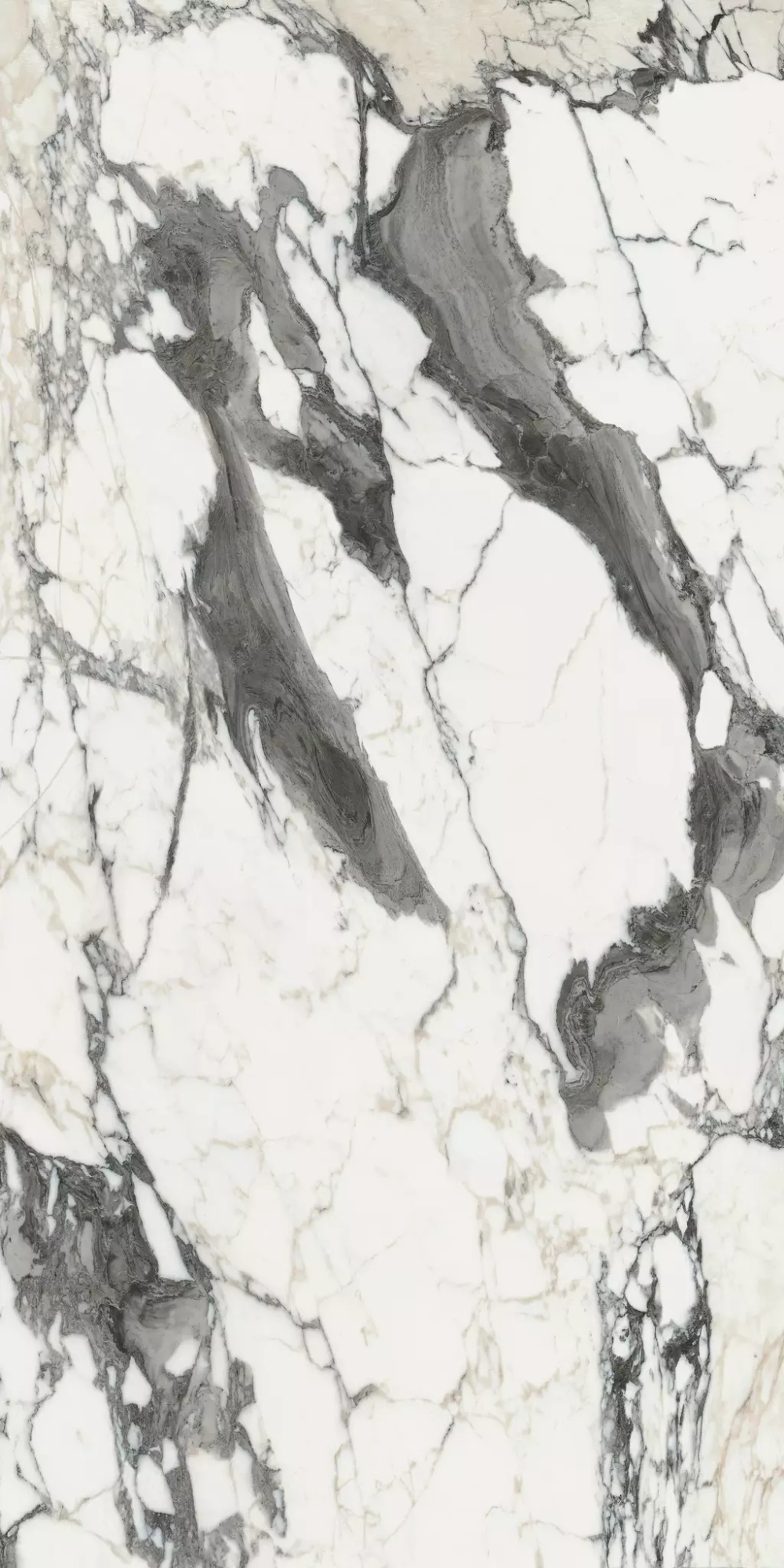 Керамогранит Bijoux Calacata Altissimo Blanc Matte