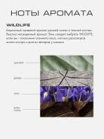 Диффузор Дикая природа (Wildlife) XL