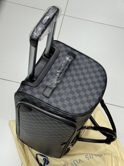 Дорожная сумка Louis Vuitton Neo Eole
