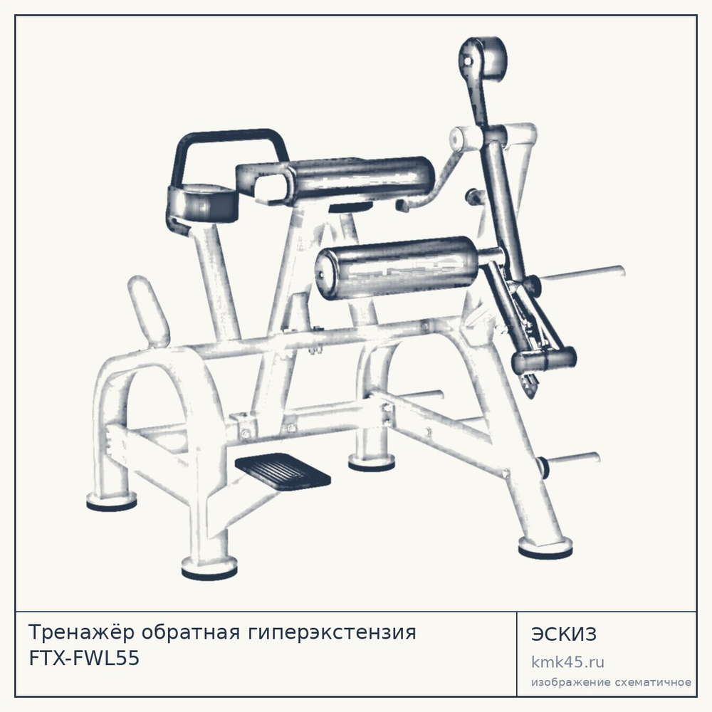 Тренажёр обратная гиперэкстензия FTX-FWL55 — от 179 000 ₽