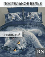 Комплект постельного белья 2 спальный, Поплин,Темно-синий,Кошки