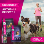 Сухой корм Eukanuba Adult Toy Breed 1+ years для взрослых собак миниатюрных пород с курицей 500 г