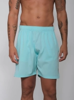 Мужские теннисные шорты RS Performance Shorts Ace Blue/Clay (211M301313/441)