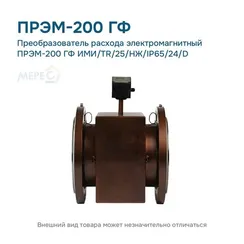 Преобразователь расхода электромагнитный ПРЭМ-200 ГФ ИМИ/TR/25/НЖ/IP65/24/D