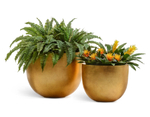 Кашпо TREEZ Effectory Metal Низкая конус-чаша Сусальное золото в-37, д-46 см 41.3319-04-027-GLD-46