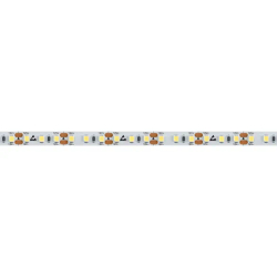 Светодиодная лента RT 2-5000 12V Day4000 2x (2835, 600 LED, PRO) (Arlight, 14.4 Вт/м, IP20) 024339(1)