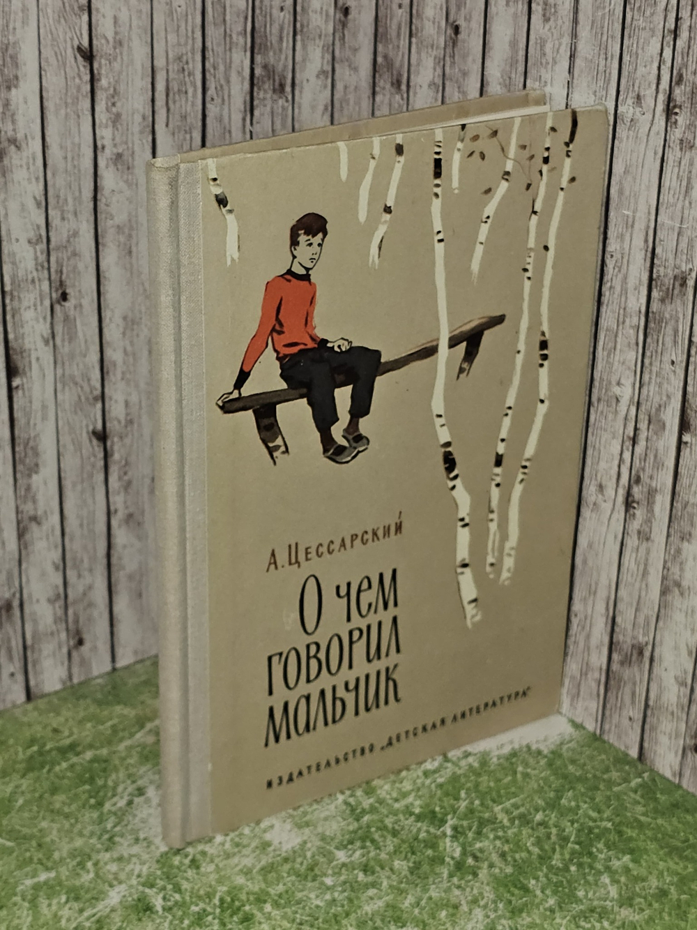 О чем говорил мальчик. Цессарский А. В.