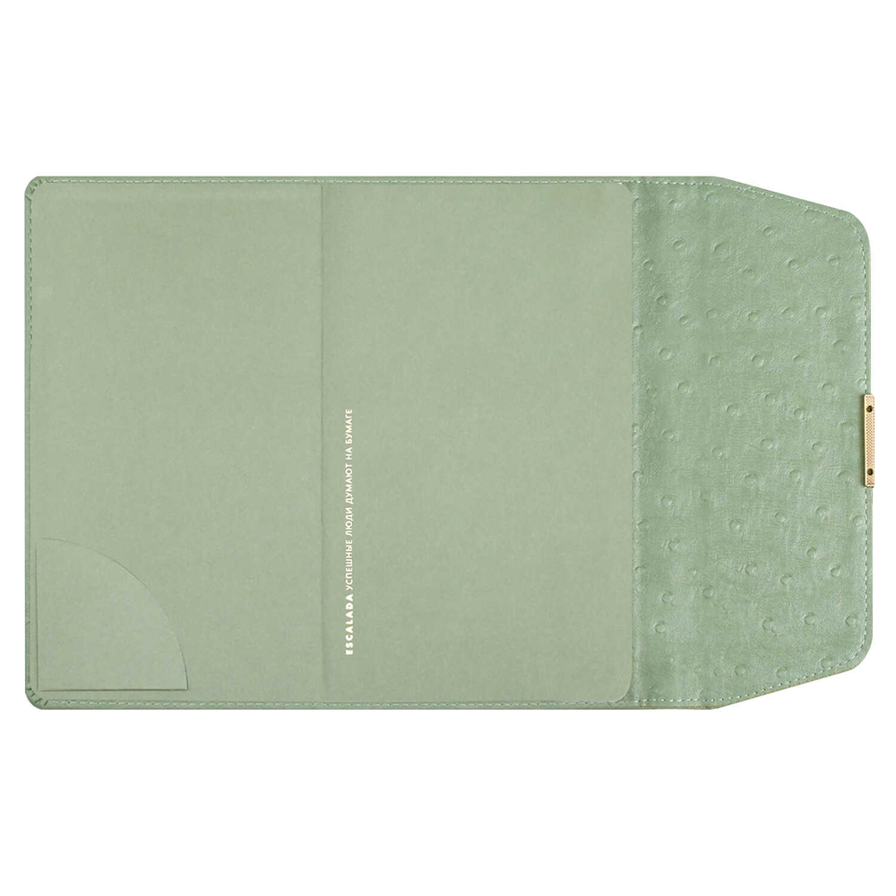 Escalada Ежедневник недатированный ESCALADA, А5, 160 л., арт. 70669/ 15 СТРАУС ОЛИВКОВЫЙ (кожзам: 126х211 мм, твёрдый переплёт, материал обложки: искусственная кожа "Страус"; способ крепления блока: ниткошвейный; декор: металлический шильд с декоративной мета