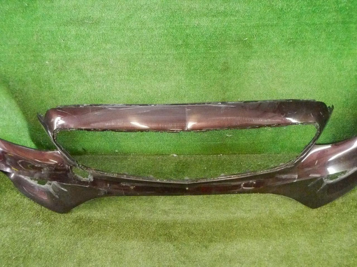 DSCN3915.jpg